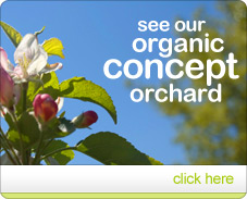 See our organic concept orchard